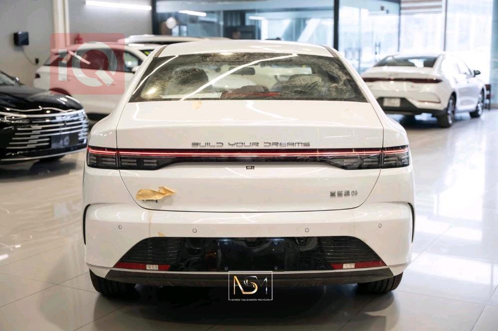 بي واي دي ديستروير 05